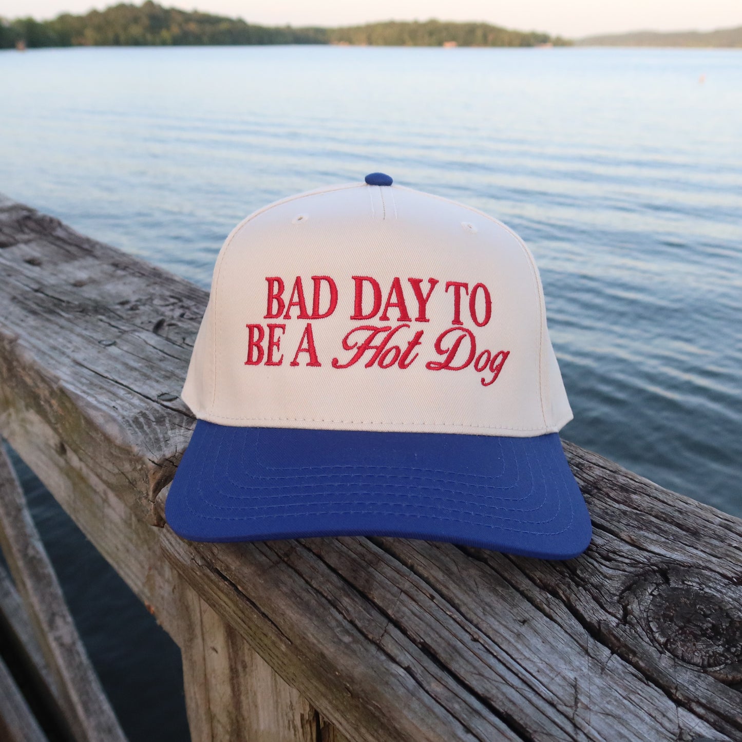 Bad Day to be a Hot Dog Vintage Trucker Hat